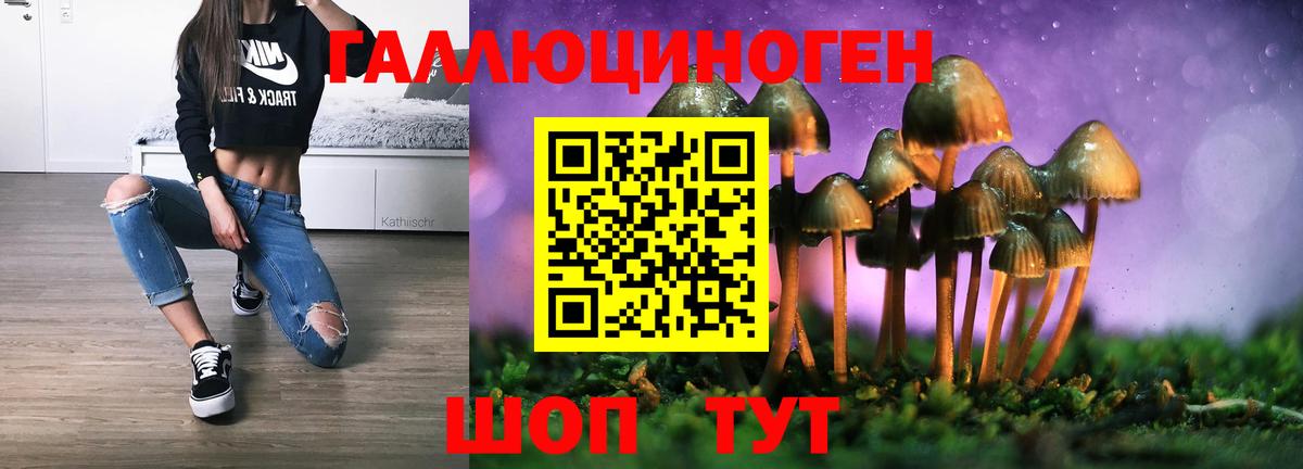 Галлюциногенные грибы Psilocybine cubensis Новоалтайск